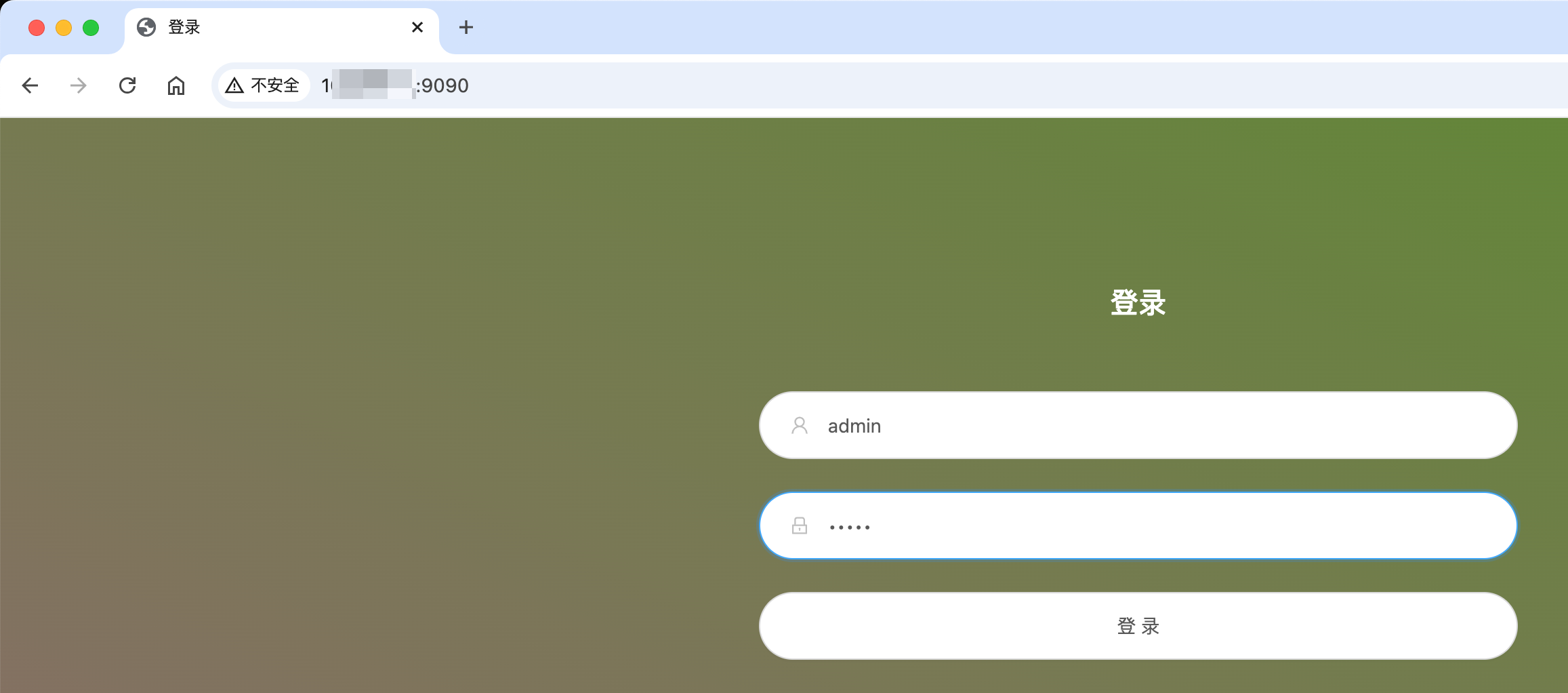 image-20241225155413962